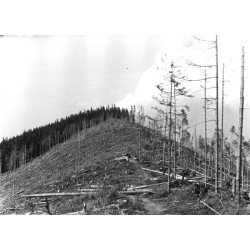 "Grofecki Koń - Gorgany p. Dolina [...] Fot. W. Walczak (Kraków)"