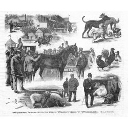 "Wystawa Inwentarza na Placu Ujazdowskim w Warszawie. (Rys. J. Eismond)."