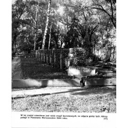 "(17) Cmentarz Powązkowski w Warszawie" / Kwatera poległych w Powstaniu Warszawskim