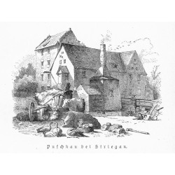 "Puschkau bei Striegau."