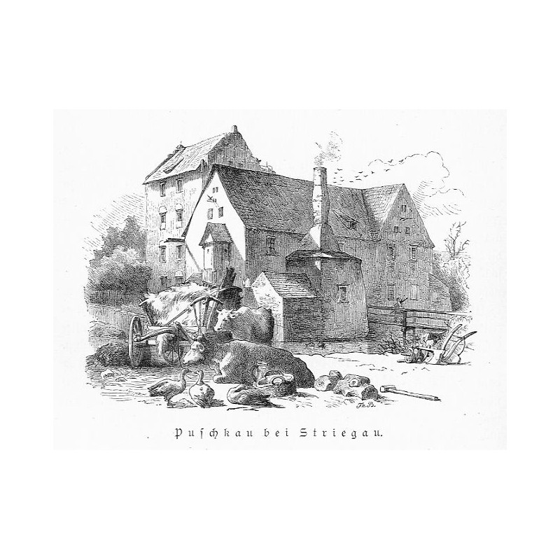 "Puschkau bei Striegau."