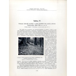 "Formacja ziołorośli wysokich w górnej dziedzinie lasu, poniżej połoniny Pożyżewskiej. Według fotografji T. Wilczyńskiego, zdjęt