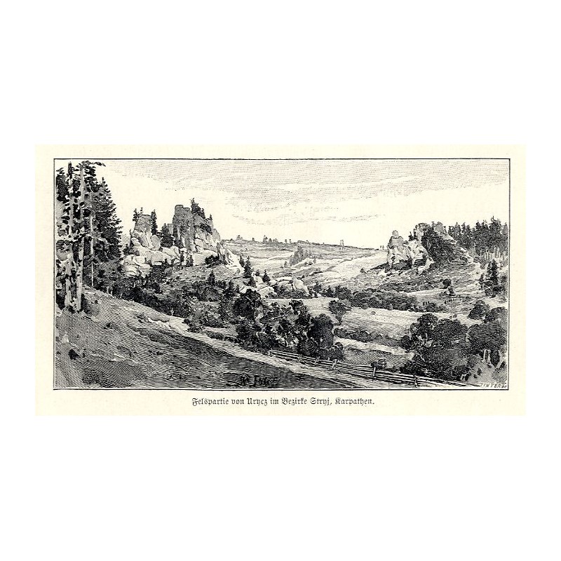 "Felspartie von Urycz im Bezirke Stryj, Karpathen."
