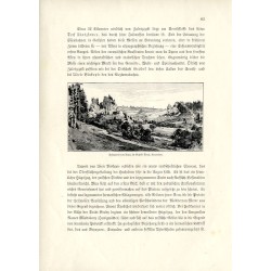 "Felspartie von Urycz im Bezirke Stryj, Karpathen."
