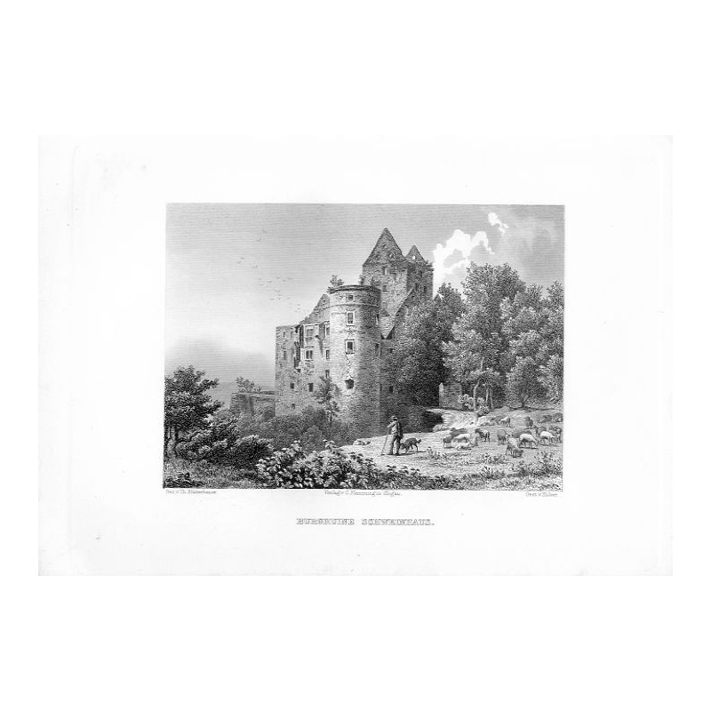 Burgruine Schweinhaus / "BURGRUINE SCHWEINHAUS."