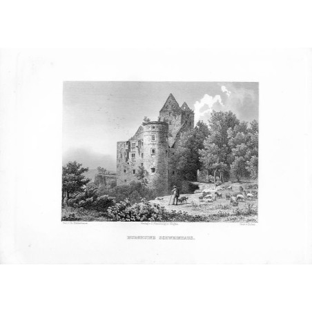 Burgruine Schweinhaus / "BURGRUINE SCHWEINHAUS."