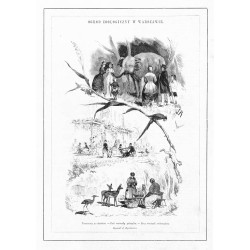 Ogród Zoologiczny w Warszawie / OGRÓD ZOOLOGICZNY W WARSZAWIE. [1] "1 Słoń. 2 Ara. 3 Niedźwiedź. 4 Antylopy. 5 Wilki. 6 Jastrząb