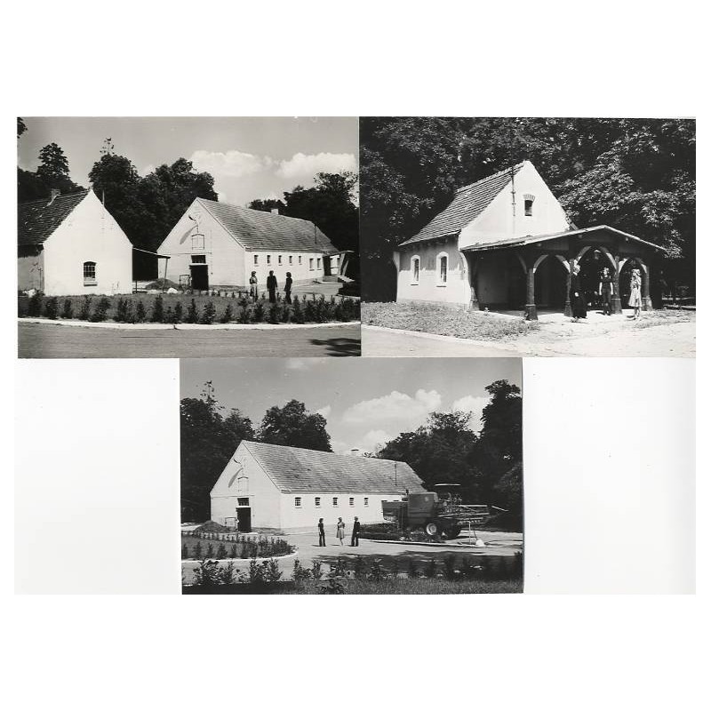 Glesno. Gospodarstwo Hodowli Zarodowej