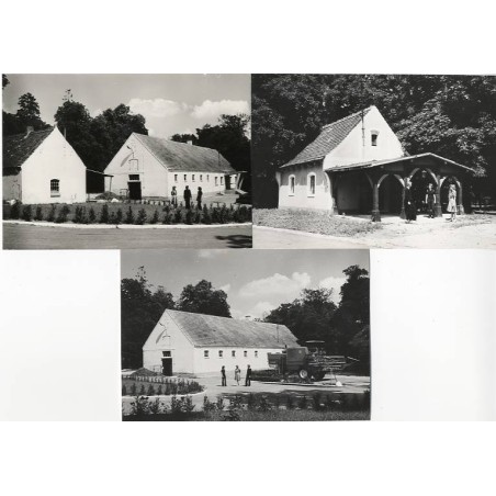 Glesno. Gospodarstwo Hodowli Zarodowej