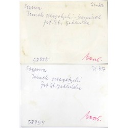 Wąsowo. Zamek neogotycki
