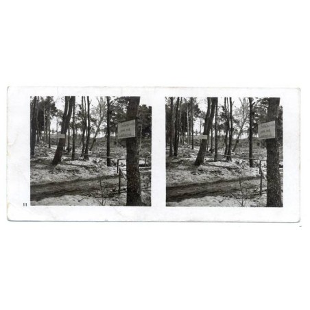 "Bild Nr. 11. Entmintes Minenfeld auf der Insel Hela"