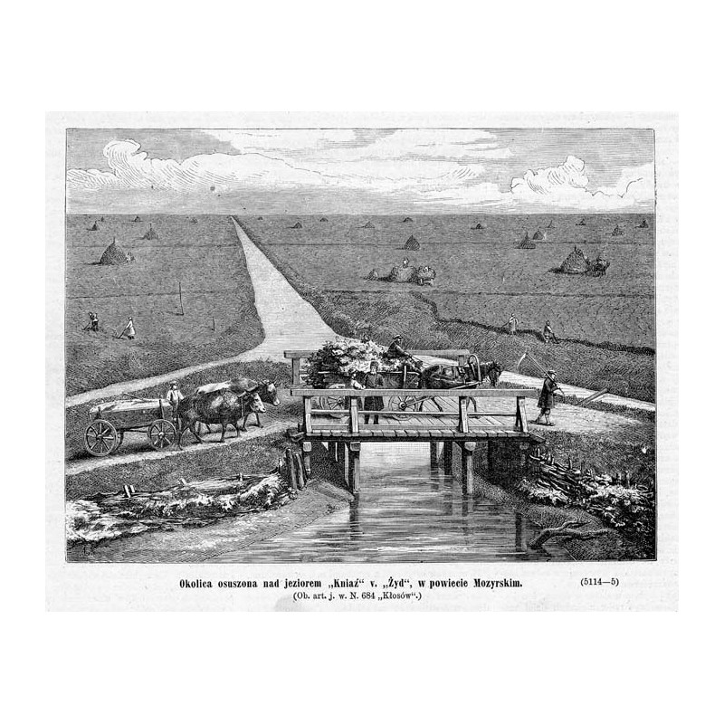 "Okolica osuszona nad jeziorem "Kniaź" v. "Żyd", w powiecie Mozyrskim [...] (5114-5)"