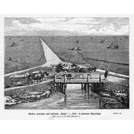 "Okolica osuszona nad jeziorem "Kniaź" v. "Żyd", w powiecie Mozyrskim [...] (5114-5)"