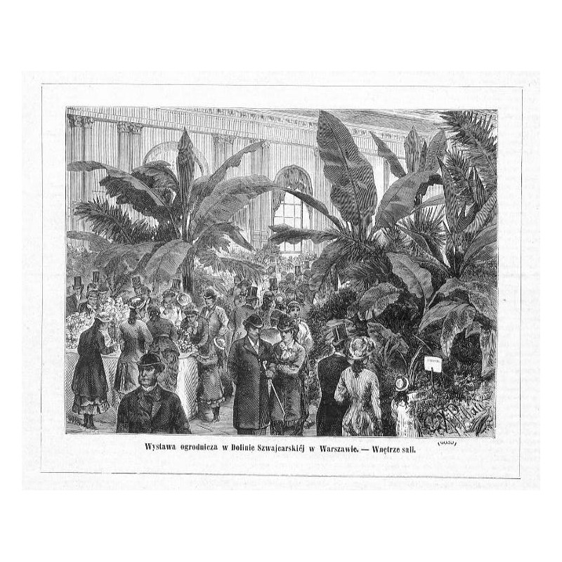 "Wystawa ogrodnicza w Dolinie Szwajcarskiéj w Warszawie. - Wnętrze sali. (6089)"