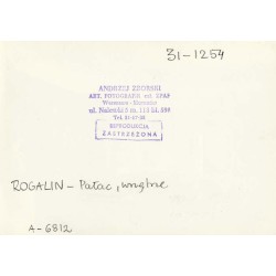 "ROGALIN - Pałac, wnętrze. 31-1254 A-6812"