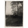 [1] ""Obozy" Narocz - Hatowicze dn. 6.VII.1935r. Kl VI" [2] ""Obozy" Narocz dn. 6.VII.1935. Kl. VI" [3] ""Obozy" Narocz - Molo