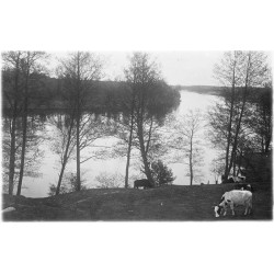 "Niemen pod Druskienikami [...]"