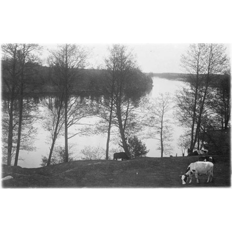 "Niemen pod Druskienikami [...]"