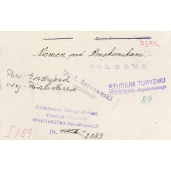 "Niemen pod Druskienikami [...]"