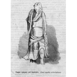 "Posążek wykopany pod Łopatynem. (Patrz zagadka archeologiczna)."