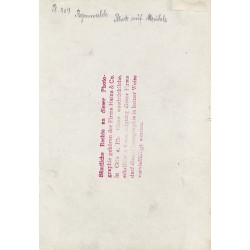 " Pl. 909 Regenwalde Blick auf Mühle"