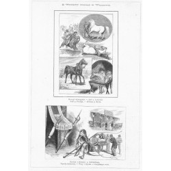 "Z Wystawy rolniczéj w Warszawie. Wyścigi włościańskie. - Arab p. Lewickiéj. Arab p. Frölinga. - Źrebięta p. Kurca. Pawilon z dy