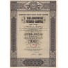 Zjednoczone Fabryki Maszyn, Kotłów i Wagonów L. Zieleniewski i Fitzner-Gamper SA. 1 akcja na okaziciela 100 zł z 31.12.1938r.