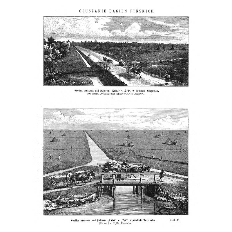 "Okolica osuszona nad jeziorem "Kniaź" v. "Żyd", w powiecie Mozyrskim [...] (5114-5)"