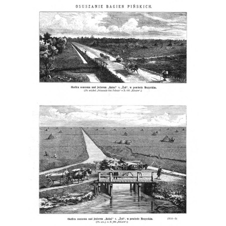"Okolica osuszona nad jeziorem "Kniaź" v. "Żyd", w powiecie Mozyrskim [...] (5114-5)"