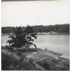 Krajobraz na Wale Pomorskim fot. J. Siudecki barwne