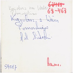Krajobraz na Wale Pomorskim fot. J. Siudecki barwne