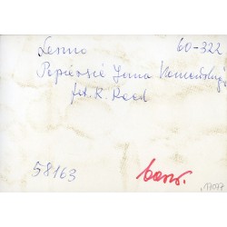 "Leszno Popiersie Jana Komeńskiego fot. R. Reed 60-322 58163 barw."