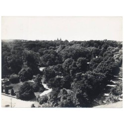 Panorama Lwowa
