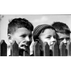 Opolszczyzna. Portret 3 chłopców przy płocie "8 k 23"