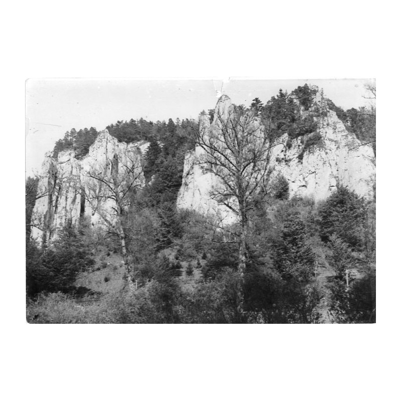 "Ojców - Fragment z samotnych skalic. Nr. 2 fot. St. Leszczycki [...]"
