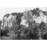 "Ojców - Fragment z samotnych skalic. Nr. 2 fot. St. Leszczycki [...]"