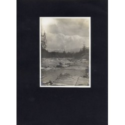 "9. CZARNY DUNAJEC WE WITOWIE."