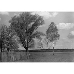 Pejzaż górnośląski / "Am Dorfrande. 72"
