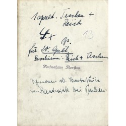 Kolumna szwedzka lub męczenników w Pastwiskach koło Cieszyna / "Schweden- oder Mortersäule in Pastwisk bei Teschen"