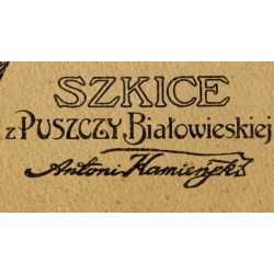 "SZKICE z Puszczy Białowieskiej Antoni Kamieński" (tylko okładka albumu)