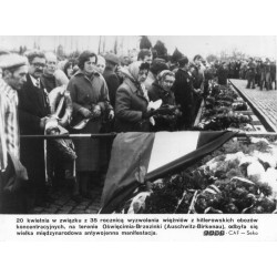 "20 kwietnia w związku z 35 rocznicą wyzwolenia [...] na terenie Oświęcimia-Brzezinki (Auschwitz-Birkenau), odbyła się wielka mi