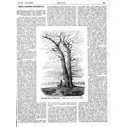 [1] "Dwór we Wróblewicach, mieszkanie ś. p. Władysława hr. Tarnowskiego. (5794)" [2] "Dąb Jagielloński we Wróblewicach. Podług
