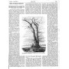 [1] "Dwór we Wróblewicach, mieszkanie ś. p. Władysława hr. Tarnowskiego. (5794)" [2] "Dąb Jagielloński we Wróblewicach. Podług