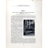 "Puszcza świerkowa u źródlisk Prutu, poniżej połoniny Pożyżewskiej. Według fotografji T. Wilczyńskiego, zdjętej 25 września 1929