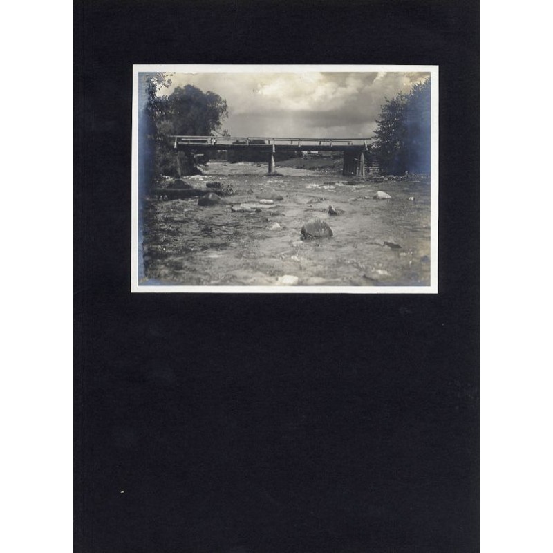 "5. MOST WE WITOWIE."