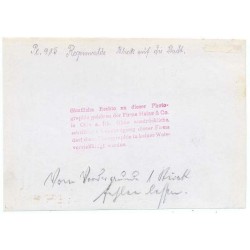 "Pl. 915 Regenwalde Blick auf die Stadt [...]."