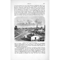 "Ostseebad Swinemünde vom Walde aus gesehen."