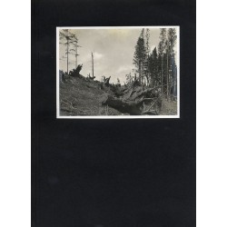 "16. POBOJOWISKO II."