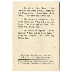 "Gnadenbild der Piekarer Mutter Gottes"