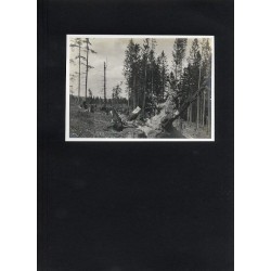 "15. POBOJOWISKO I."